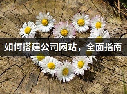 如何搭建公司网站,全面指南 – 竞工厂